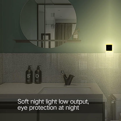 🔥 Night Light 6-Pack